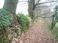 6.Au détour d‘un chemin , un panorama