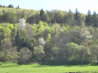 6. Le printemps apporte ses couleurs gaies