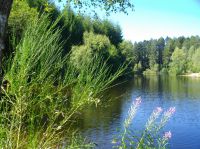 4, Etang de la Goulette