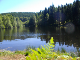Circuit Etang de la Goulette