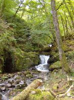 1. la Canche