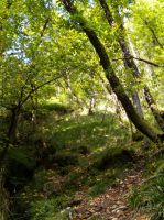 2. les Gorges