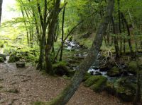 3. partie haute des gorges