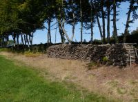 7, pile de bois de chauffage